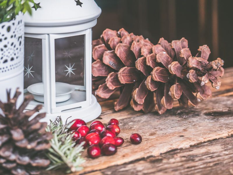 WACB blog festive pinecone and lantern