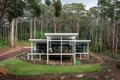 Modern home on stilts set among tall karri trees